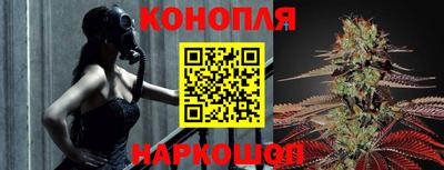 тгк Заводоуковск